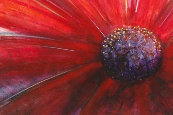 Close up abstract acrylic painting of a red daisy