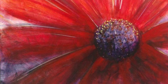 blog-2017-website-reboot-red-daisy Close up abstract acrylic painting of a red daisy