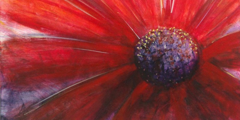 Close up abstract acrylic painting of a red daisy