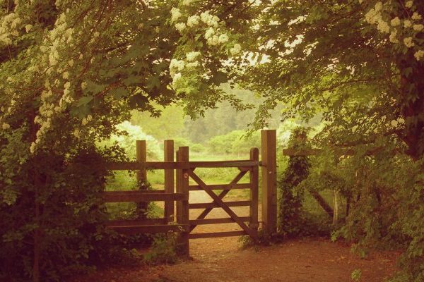 garden gate