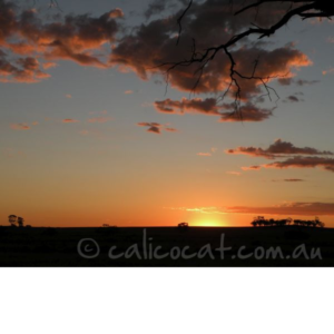 Photo of an Australian sunset