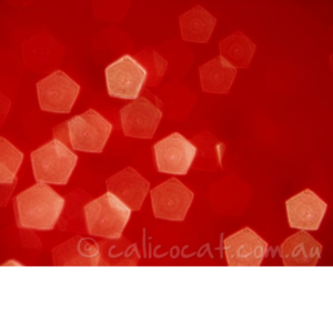 Abstract photo of light pentagons on a red background